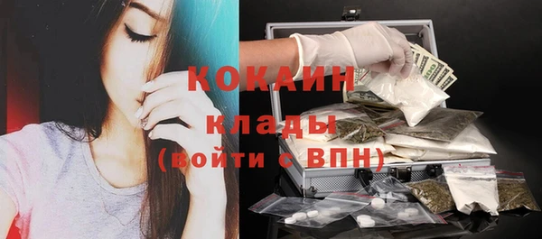тгк Ельня