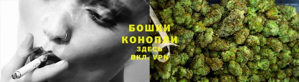 тгк Ельня