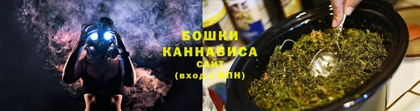 тгк Ельня