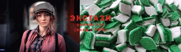 тгк Ельня