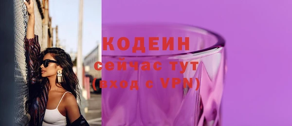 тгк Ельня