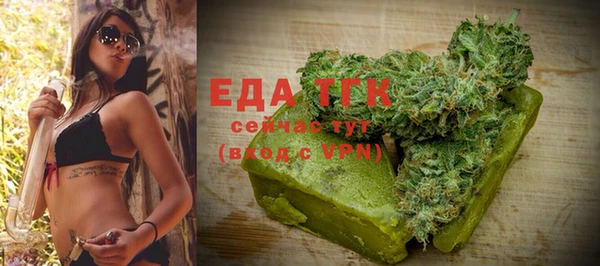 тгк Ельня