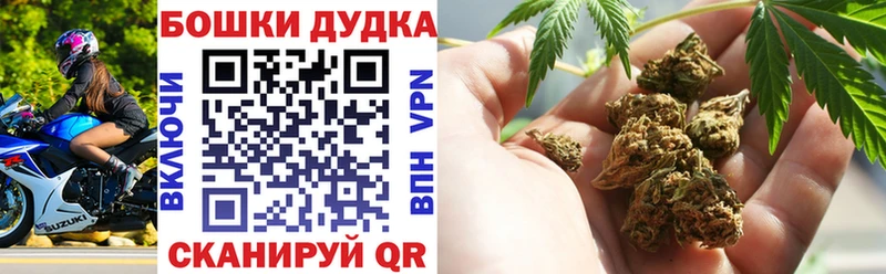 Купить закладки  Покров  Бошки марихуана White Widow 